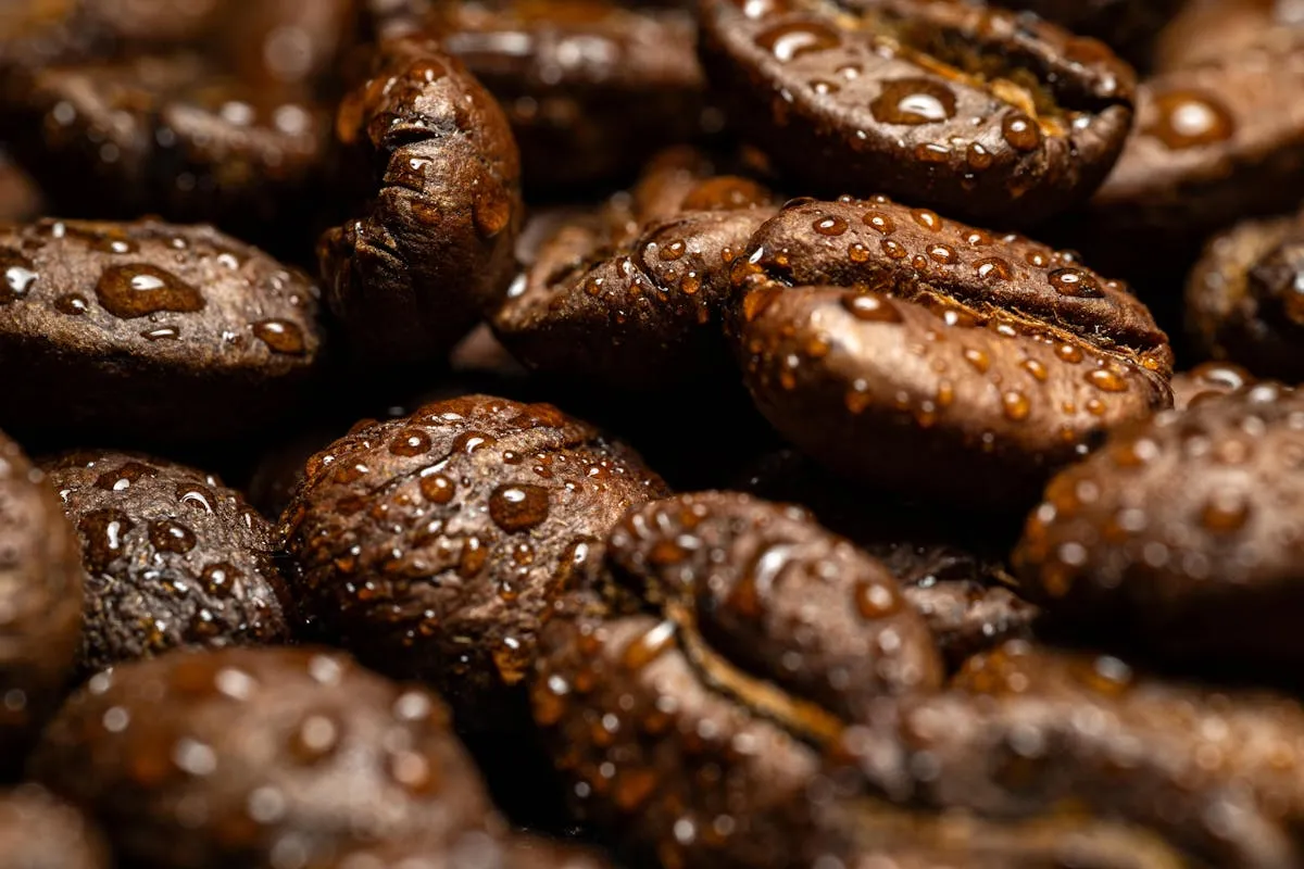 Obsidian roasting process